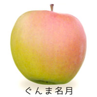 �H�c�g������